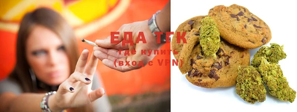 амф Гусь-Хрустальный