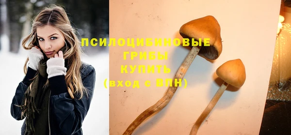 круглые Дмитриев