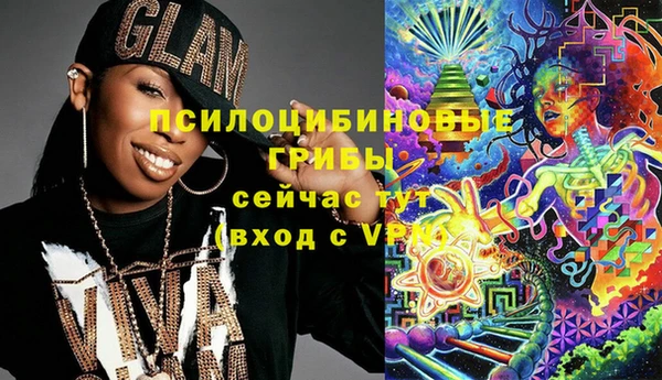 apvp Дмитровск