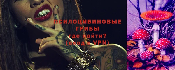 apvp Дмитровск