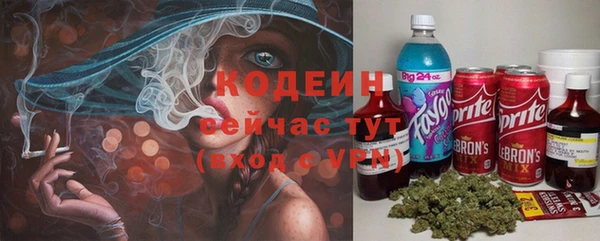 apvp Дмитровск