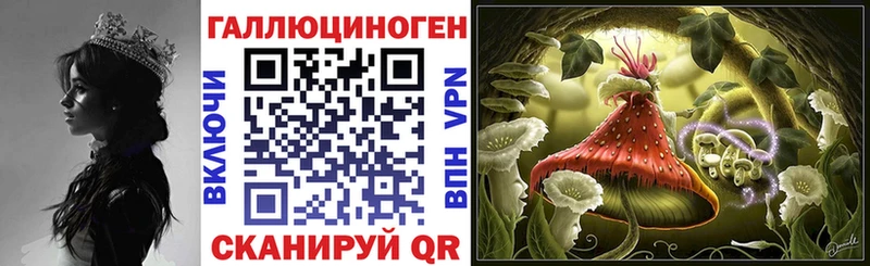 Псилоцибиновые грибы Psilocybe  Новоузенск 