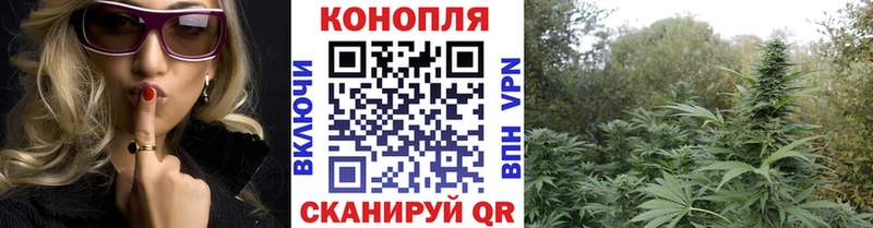 Конопля VHQ  mega сайт  Новоузенск  цена  